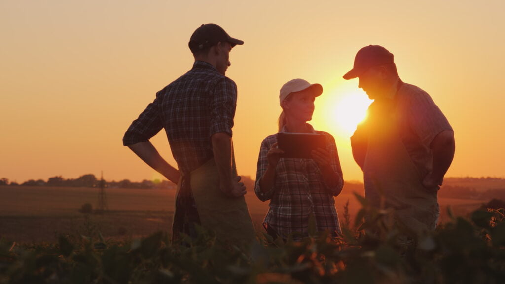 A group of farmers are having a discussion in the field, using a tablet. Two men and one woman. Team work in agribusiness.